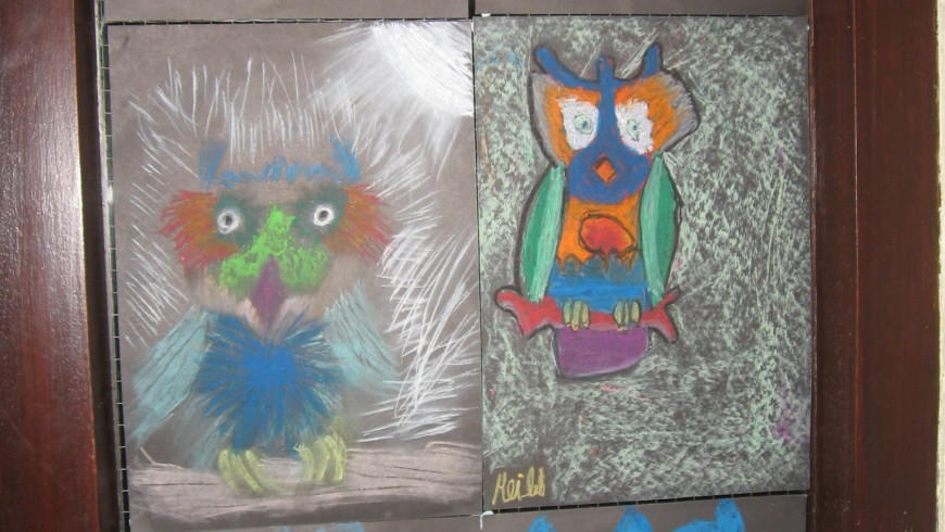 Look at our fourth class owls