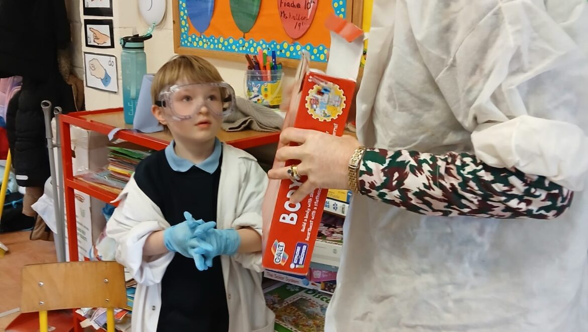 Senior Infants and the Elephant Toothpaste